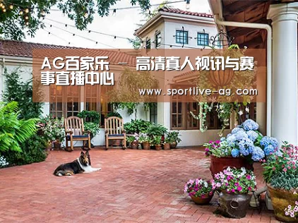 客户案例标题九
