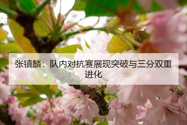 张镇麟：队内对抗赛展现突破与三分双重进化