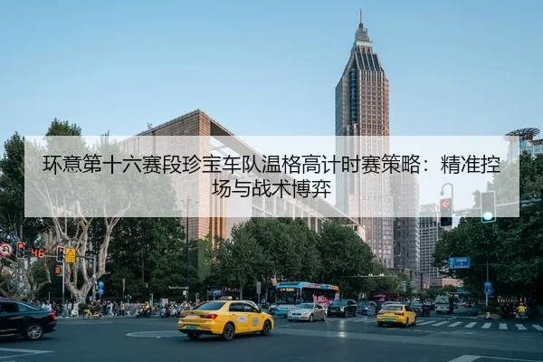 环意第十六赛段珍宝车队温格高计时赛策略：精准控场与战术博弈