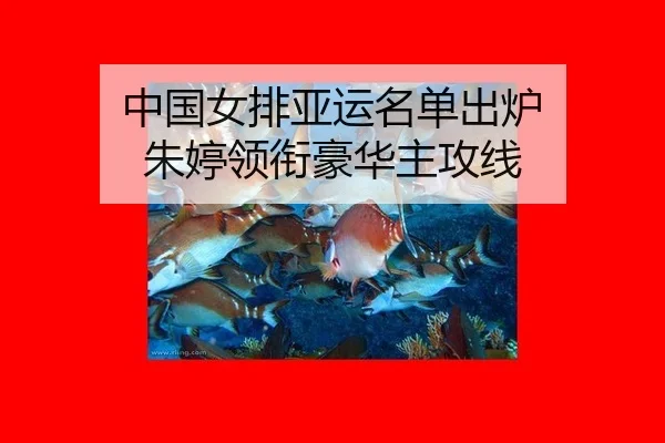 zhong-guo-nv-pai-ya-yun-ming-dan-chu-lu-zhu-ting-ling-xian-hao-hua-zhu-gong-xian-2-383.jpg