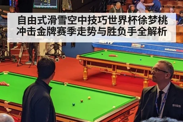 自由式滑雪空中技巧世界杯徐梦桃冲击金牌赛季走势与胜负手全解析